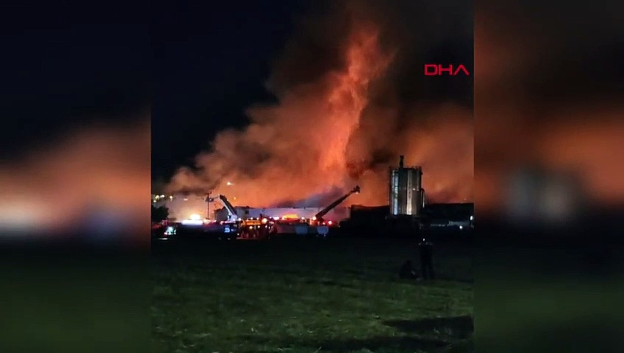 L'incendie qui s'est déclaré dans l'usine de produits forestiers de Bursa s'est propagé à 9 autres usines