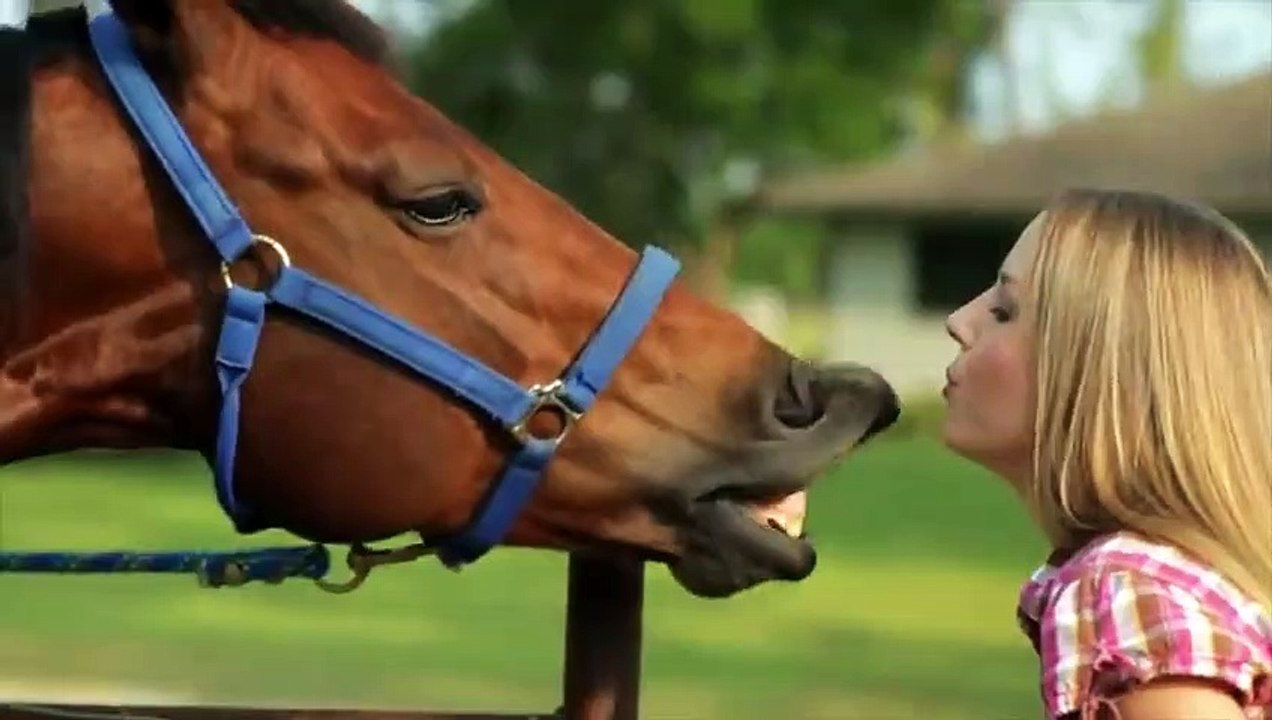 C'est Pourquoi Le Cheval s'est Vengé du Crocodile, Les 4 Batailles les Plus Féroces !!