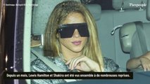 Shakira et Lewis Hamilton : Les coulisses de leurs rendez-vous secrets à Ibiza (enfin) dévoilés