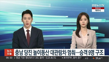 충남 당진 놀이동산 대관람차 멈춰…승객 9명 구조