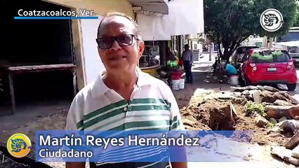 Árbol de almendro se desgajó y ocasionó fuga de agua en el centro de Coatzacoalcos