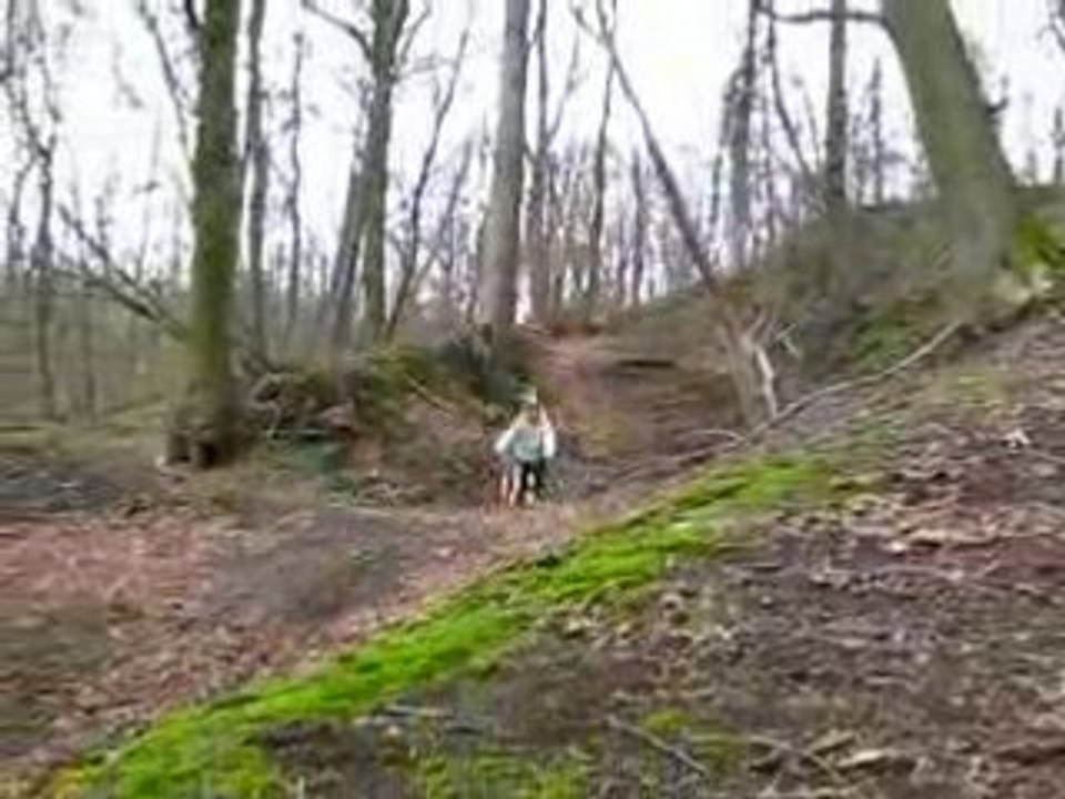 DH Spy 08
