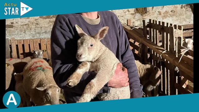 Laurent (L'amour est dans le pré) séparé de Maud : surprenantes révélations sur sa rencontre avec sa