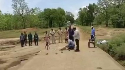 नर्मदापुरम: तंत्र-मंत्र के लिए काटा था बाघ का सिर, आरोपी सलाखों के पीछे