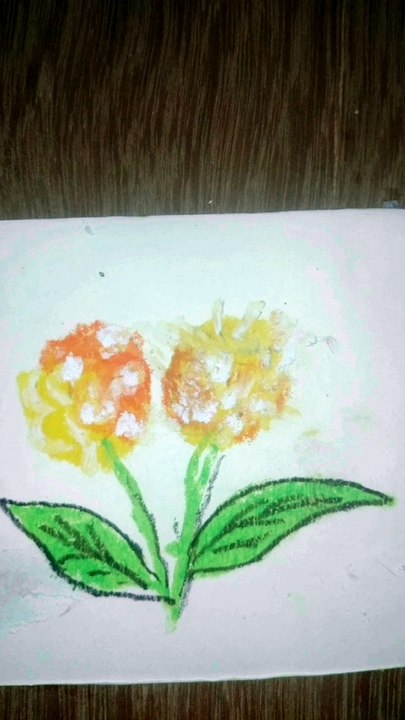 Kadma flower drawing
