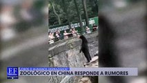 El oso que se puso en 2 patas para saludar, ¿es realmente un animal o una persona disfrazada?