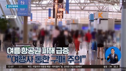 [경제 톡톡톡]여름 항공권 피해 급증 “여행사 통한 구매 주의”