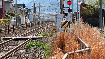 PXL_20230402_084315 67列車・67レ Train 67, 67 re.