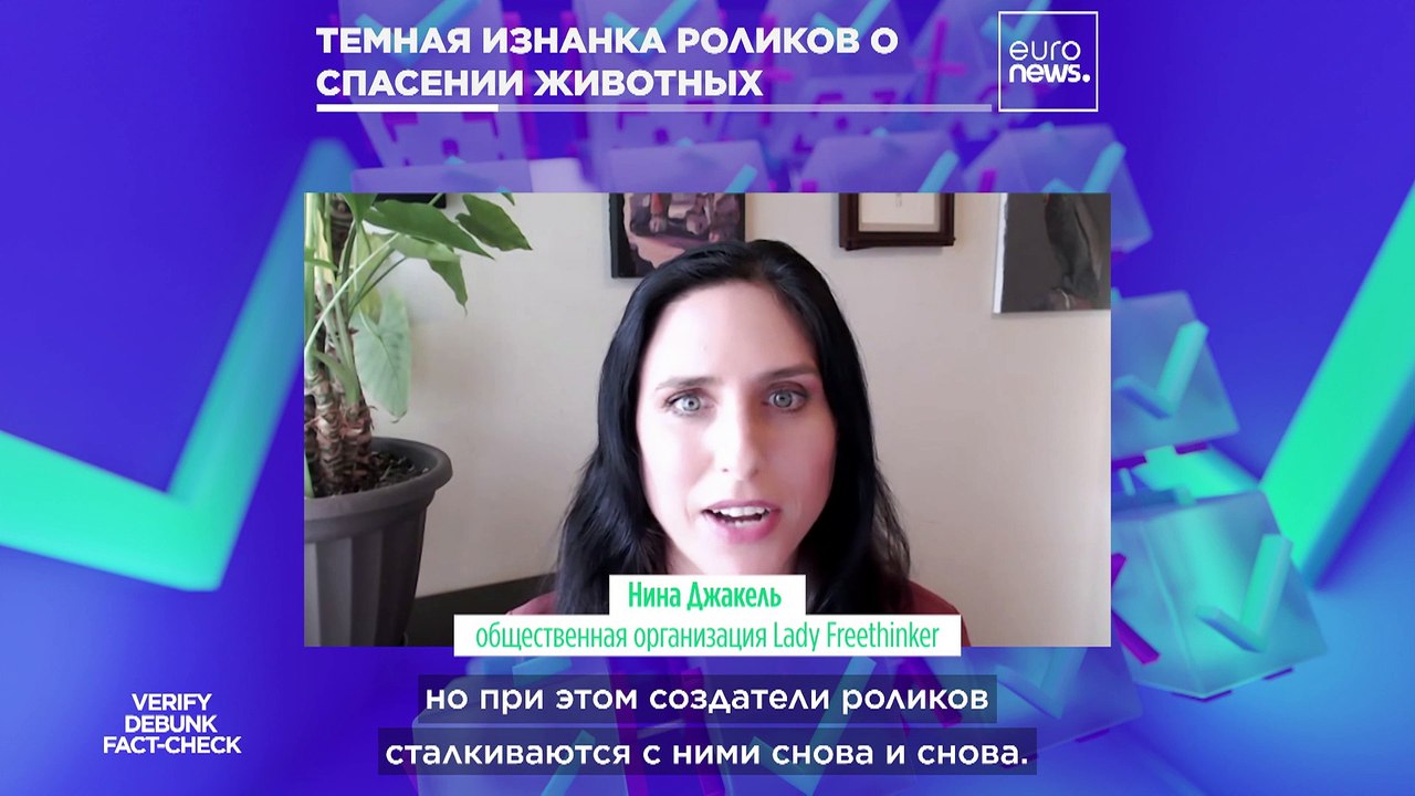 Темная изнанка роликов о спасении животных