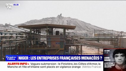 Download Video: Crise au Niger: les entreprises françaises sont-elles menacées?