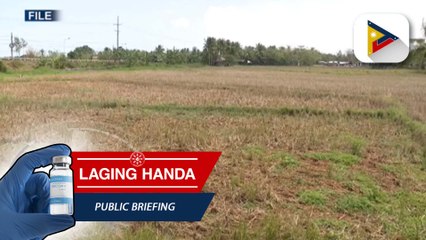 Panayam ni DOST Balik Scientist Dr. Hernando Bacosa