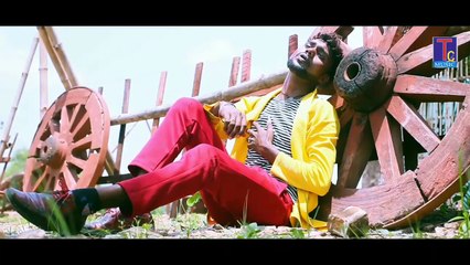 RANI TOR SURTA II RAGHUBIR SAHU II HD VIDEO II TC MUSIC