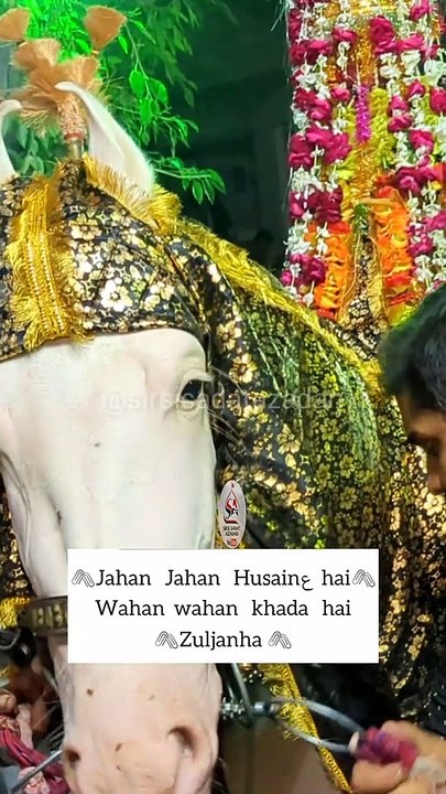 14 Muharram WhatsApp Status 2023  #muharramstatus  #muharram  #muharram1445  #muharram2023  #azadari