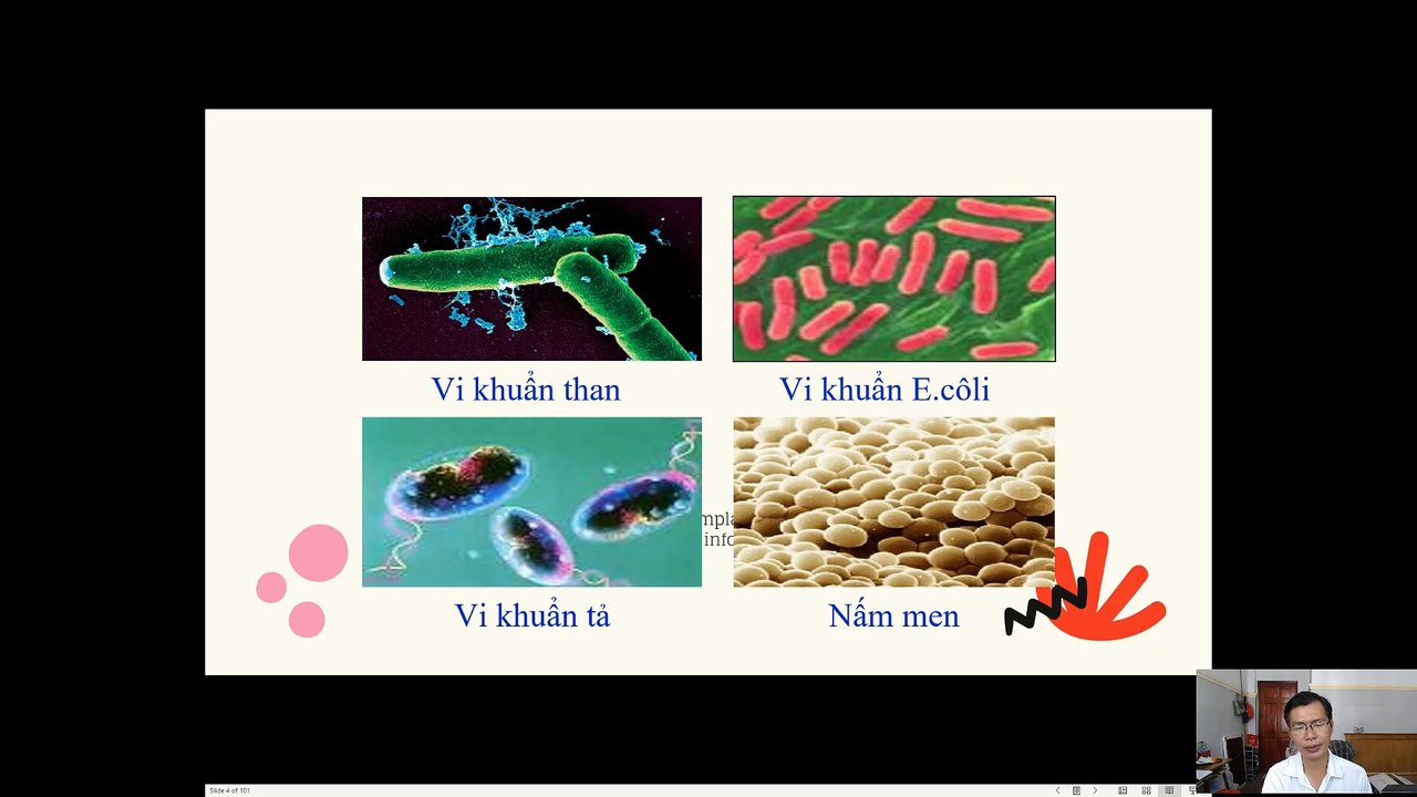 Sinh 10 - Bài 22 Dinh dưỡng, chuyển hóa vật chất và năng lượng ở vi sinh vật
