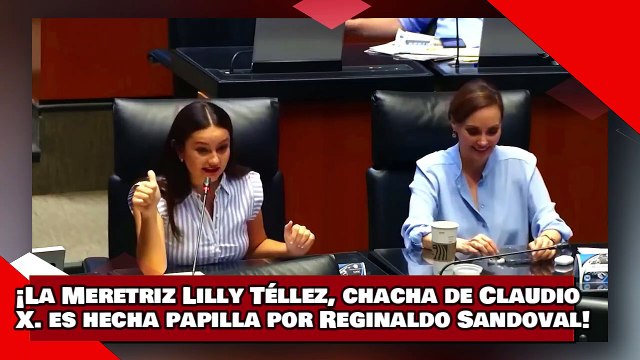 ¡VEAN! ¡la Meretriz Lilly Téllez, chacha de Claudio X. es hecha papilla por Reginaldo Sandoval!
