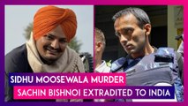 Sidhu Moosewala Murder: Accused Sachin Bishnoi Extradited To India From Azerbaijan; Sent To Police Remand Doe 10 Days