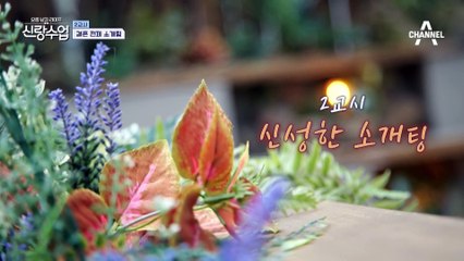 [선공개] 미녀 개그우먼의 등장?! 두 살 차이 신성♥박소영 결혼 전제 소개팅(with. 정경미)