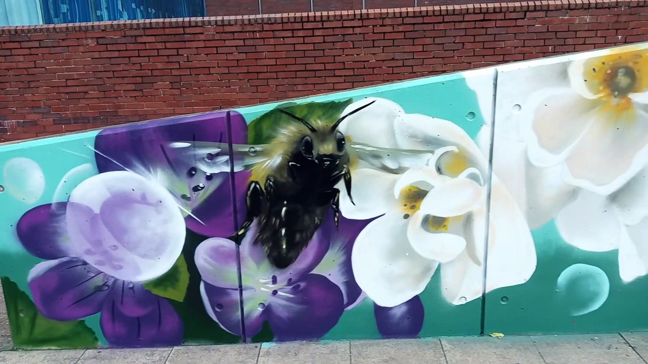 New mural on Pond Street in Sheffield by street artist Peachezz