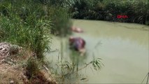 Sulama kanalında ölü hayvanlar bulundu