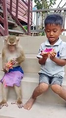 Funny moments! THE END _funnypictures _FunnyPinns -SofiaFunnyPin _FunnyOrDie _funnyordie -funnyvideos _FunnyQuotes