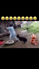 Don’t laugh please  Funny moments! THE END _funnypictures _FunnyPinns -SofiaFunnyPin _FunnyOrDie _funnyordie -funnyvideos _FunnyQuotes
