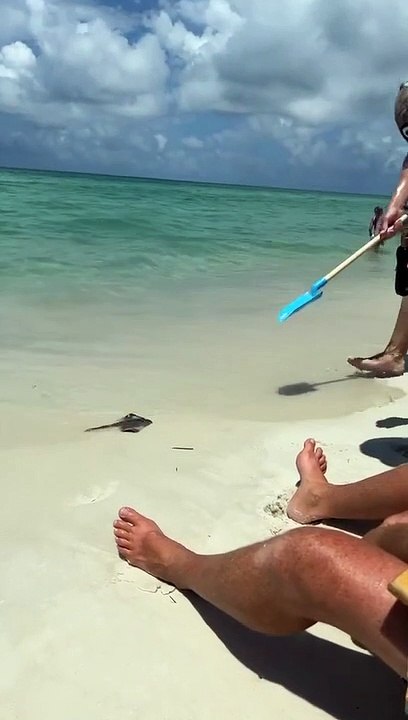 No way - "The Laughter Factory: Discover the secret of magical laughter in our enchanting world!" "The Imaginary Laughter Park: Where your dreams come true and laughter takes off in vibrant colors!" "Crazy Journey to the Land of Laughter: Get ready for an