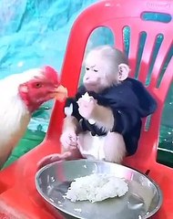 Funny moments! THE END _funnypictures _FunnyPinns -SofiaFunnyPin _FunnyOrDie _funnyordie -funnyvideos _FunnyQuotes