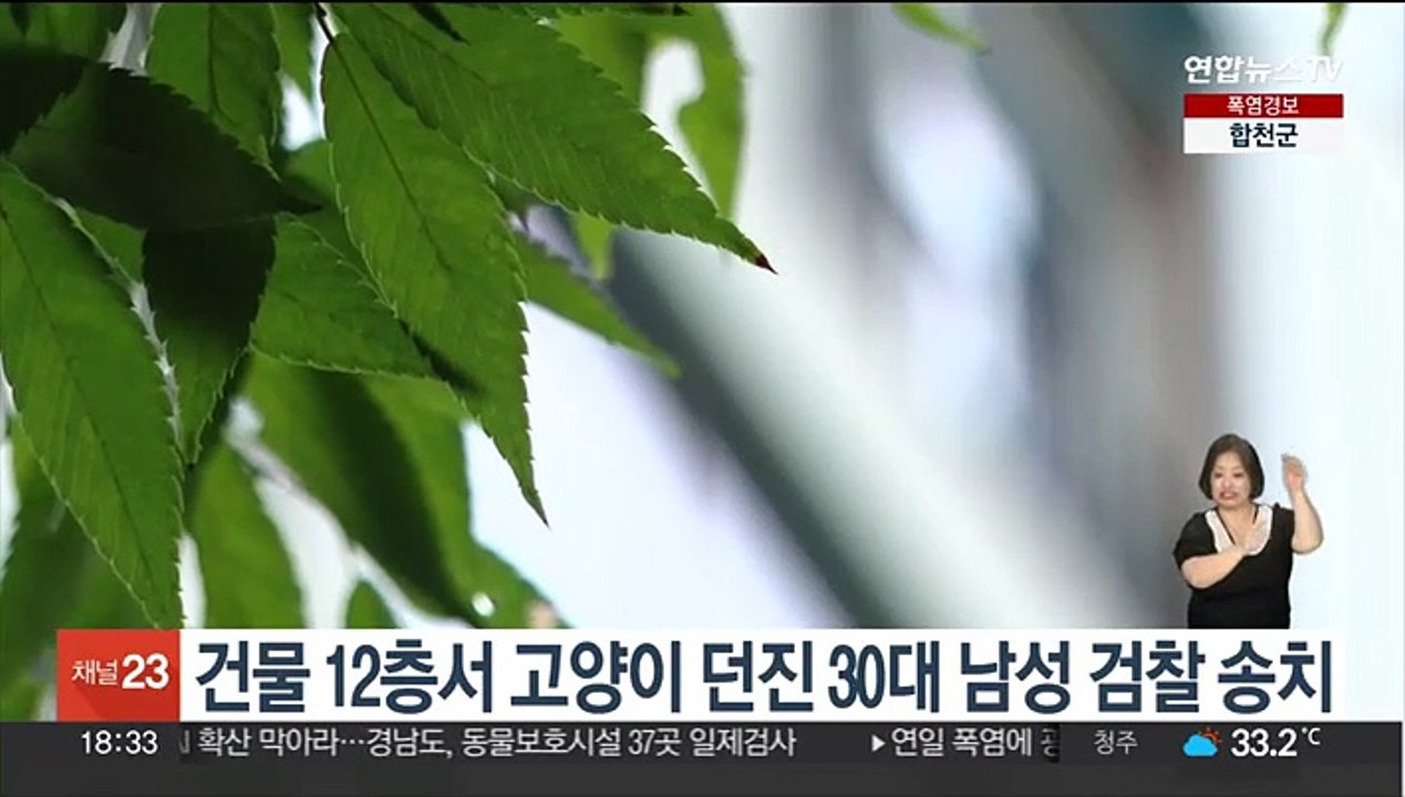 건물 12층서 고양이 던진 30대 남성 검찰 송치…범행 부인