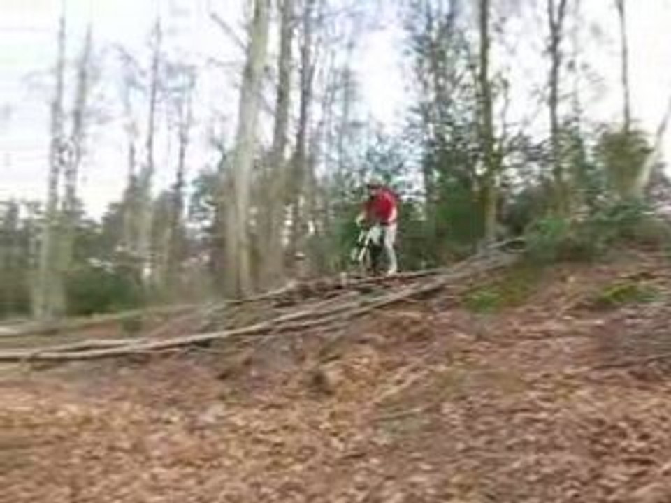 DH Spy 10