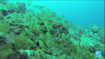 "Jour du dépassement" : l'humanité vit désormais à crédit