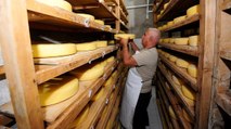 Alpler’den Atlas Dağları’na uzanan bir peynir hikayesi