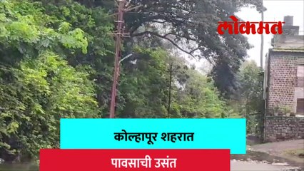 धरण क्षेत्रात पावसाचा जोर