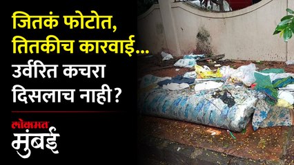 मनपाचा अजब कारभार, दादर पारसी कॉलनीतील कचरा तसाच