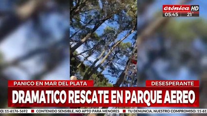 Nena quedó colgada boca abajo a 20 metros de altura y debió ser rescatada