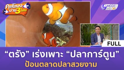 'ตรัง' เร่งเพาะ 'ปลาการ์ตูน' ป้อนตลาดปลาสวยงาม (1 ส.ค. 66) คุยโขมงบ่าย 3 โมง