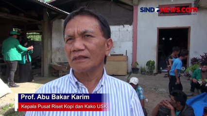 Mengenal Kopi Gayo, Arabika Aceh yang Telah Mendunia