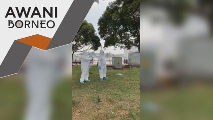 Puluhan bangkai merpati ditemui berhampiran masjid terapung