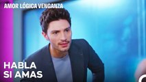 No Hay Mal En El Amor - Amor Lógica Venganza Capitulo 84