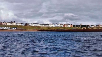 Dolphin off the coast of Sunderland © Anthony Skordis