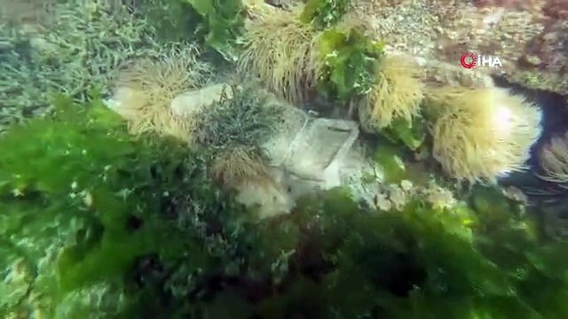 Tarihi Alan'da kıyı ve deniz dibi temizliği yapıldı