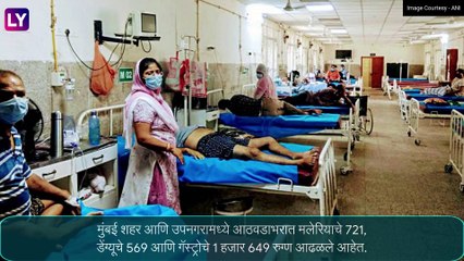 Mumbai News: पावसाळी आजारांमध्ये वाढ, मलेरिया, लेप्टो आणि डेंग्यूच्या रुग्णात वाढ