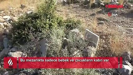 Gören kahroluyor! Bu mezarlıkta sadece bebek ve çocuklar defnediliyor