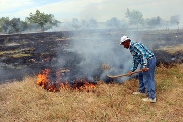 İnşaat işçisi alevlerin ağaçlara sıçramaması için kürekle müdahale etti