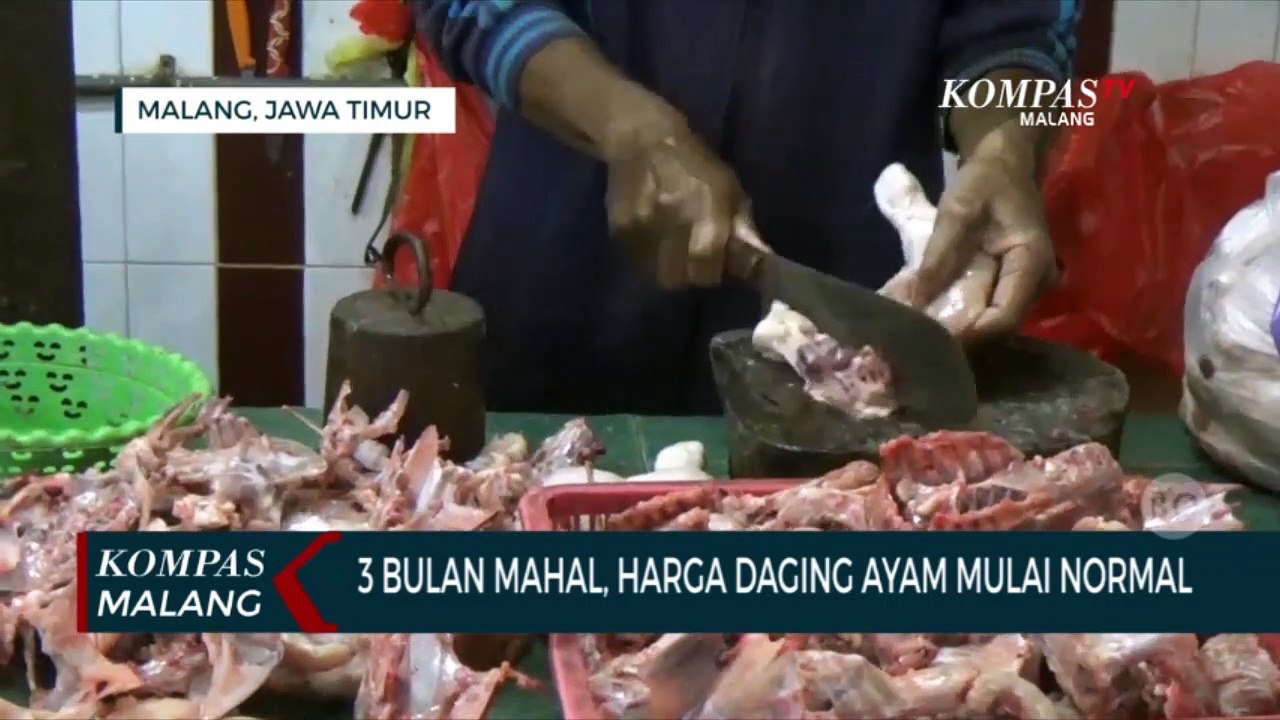 Sempat Mahal 3 Bulan, Harga Daging Ayam Potong Akhirnya Turun!