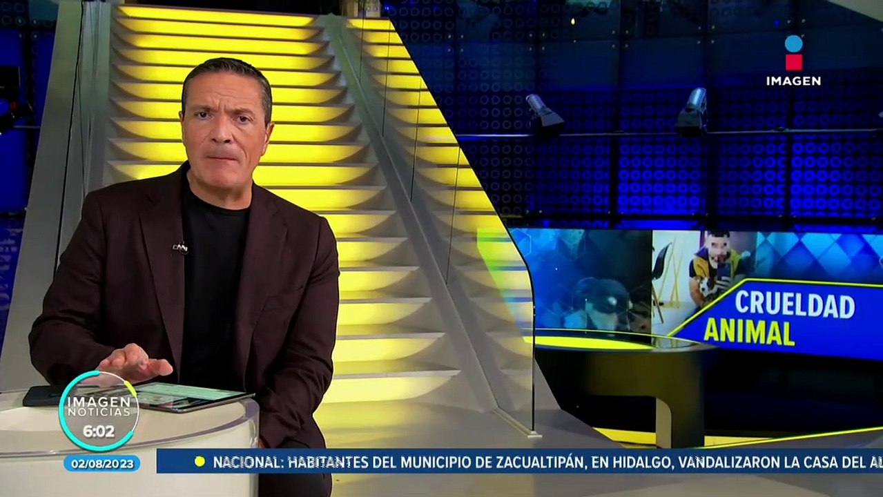 Exnovio mata a perrita a golpes