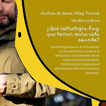-ANDRÉS DE JESÚS VÉLEZ FRANCO- EL CÓNDOR ANDINO: ¿CÓMO PODEMOS EVITAR SU EXTINCIÓN? (PARTE 2) (@AndresdeJesus90)