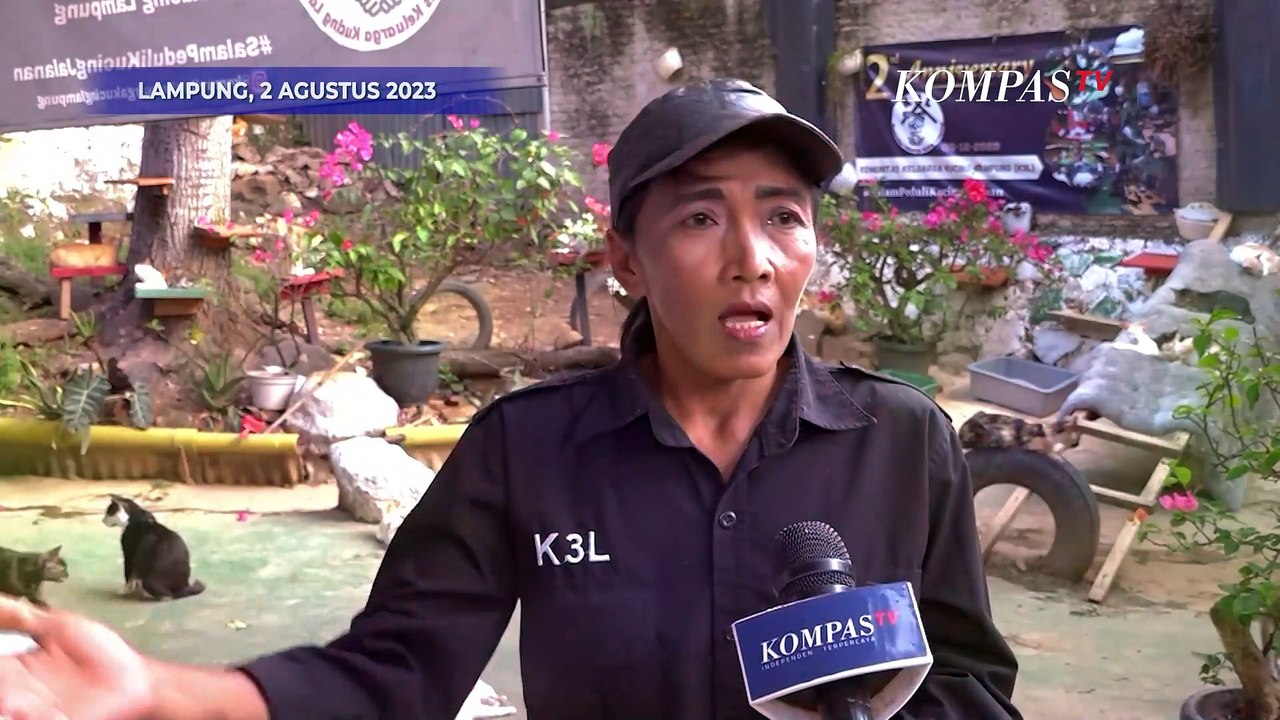 Keren! Komunitas Ini Rela Tampung dan Rawat Kucing Jalanan yang Sakit