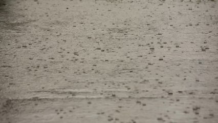 Manchester Headlines 2 August: Met Office issues yellow weather warning for Manchester today