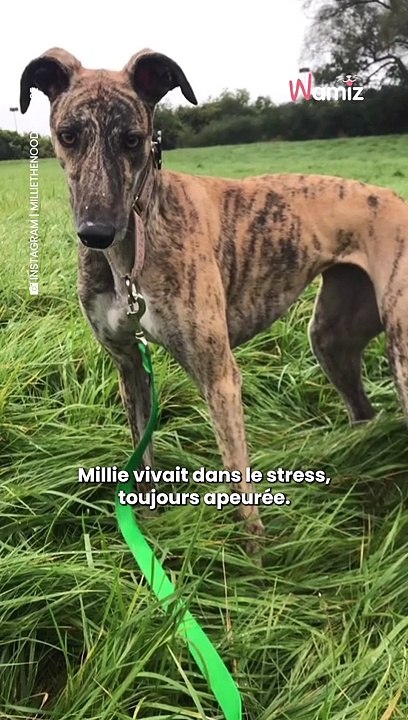 Millie est passée de l’horreur au bonheur