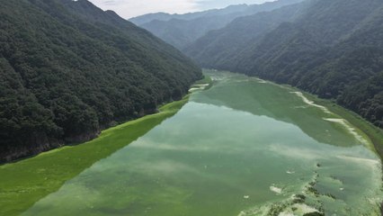 소양강 상류 녹조 발생...소양댐 건설 후 50년 만에 처음 / YTN